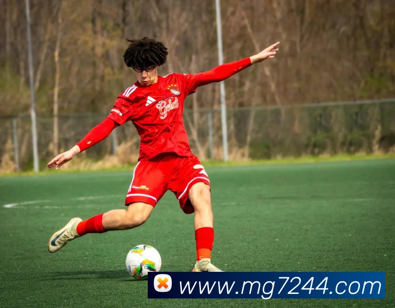 MG冰球突破APP 高清赛事图